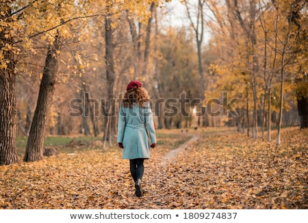 [[stock_photo]]: Portrait Of An Elegant Woman Walking In The Autumnal Park