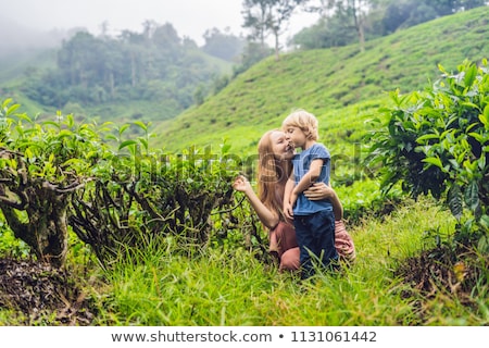 Foto stock: Mother And Son Are Traveling On A Tea Plantation In Malaysia Traveling With Children Concept