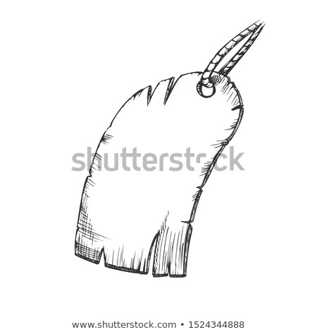 Foto stock: Label Paper Material Hanging On Rope Ink Vector