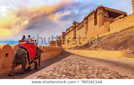 Foto d'archivio: Amer Amber Fort Rajasthan India