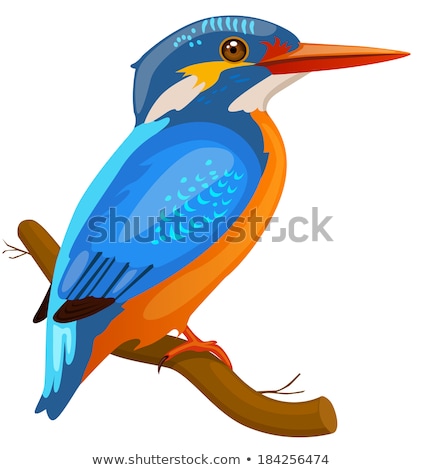 Сток-фото: Kingfisher Perched On A Branch