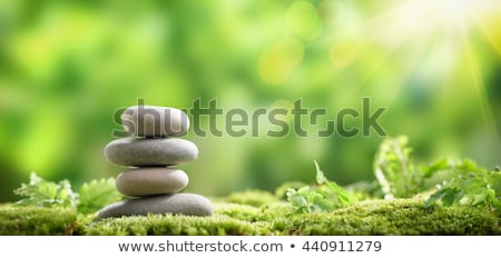 Stok fotoğraf: Zen Concept With Stones And Leaves