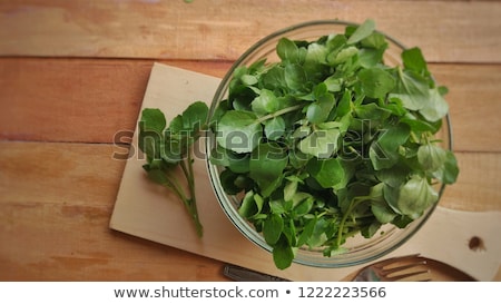 Stock photo: Watercress Nasturtium Officinale