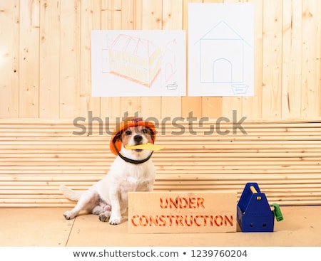 Stok fotoğraf: Dog Under Construction
