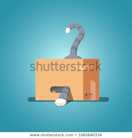 Stock fotó: Cat In Box Isolated Pet In Cardboard Box Vector Illustration