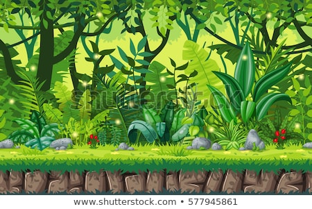 Сток-фото: Seamless Nature Jungle Landscape With Separate Layers