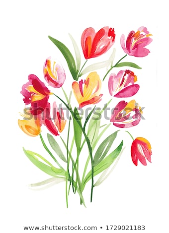 Foto stock: Bouquet Of Pink Dutch Tulips