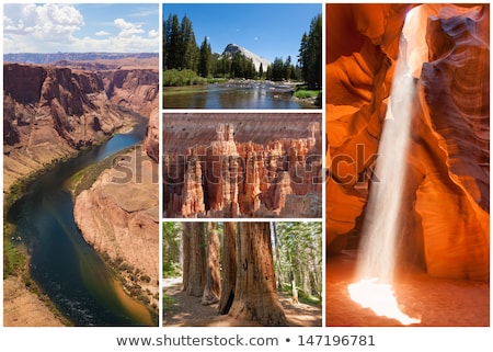 Foto stock: Usa West Coast National Parks Landscape Collage