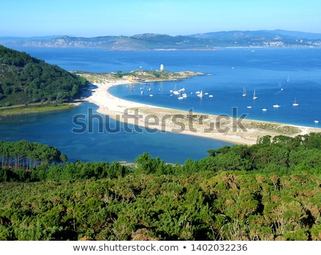 Stockfoto: Pine Trees In Cies Islands Natural Park Galicia