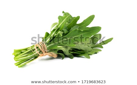 Stockfoto: Arugula Isolated