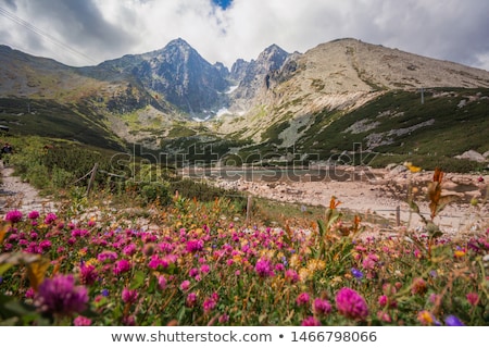 Foto stock: Ico · Lomnicky · Vysoke · Tatry · High · Tatras · Eslovaquia