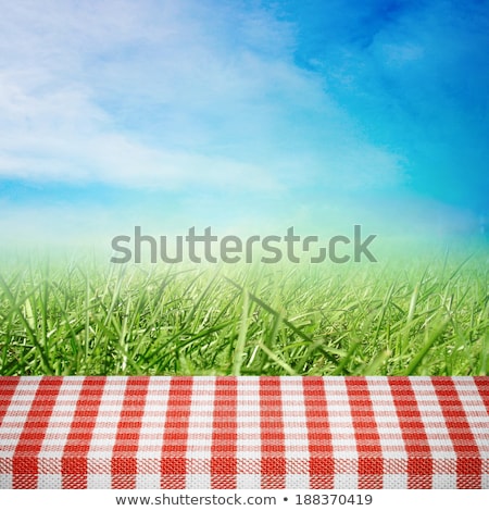Stock fotó: Table With Food And Drink Near Flowers Field