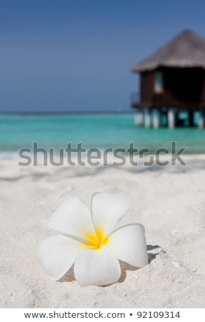 Close Up Of A Bungalow In Maldives Zdjęcia stock © hfng