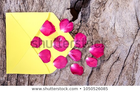 [[stock_photo]]: Mock Up Envelope With Pink Carnations For Congratulation On A Pastel Pink Background