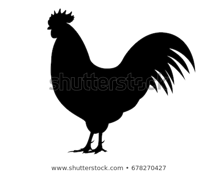 Foto stock: Rooster Silhouettes