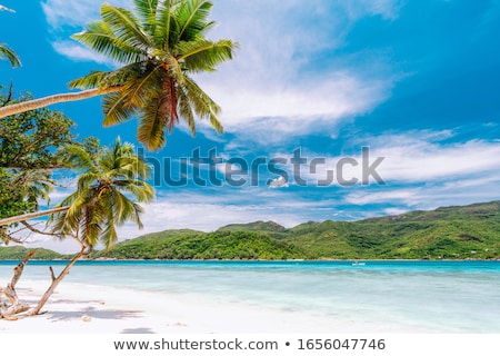 Foto stock: Beach On Tropical Island Clear Blue Water Sand Clouds