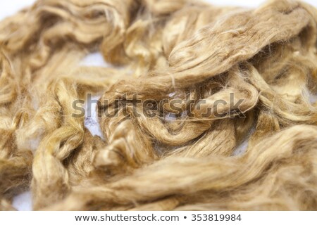 Stok fotoğraf: Saffron Piece Of Australian Sheep Wool Merino Breed Close Up On A White Background