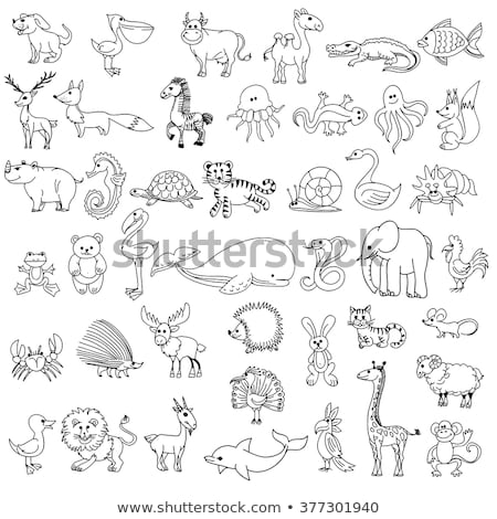 Stockfoto: Doodle Animal Character For Jellyfish