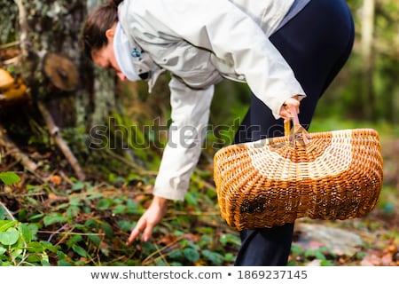 Foto d'archivio: Girl Picking Up A Flower In A Park In A Autumn Day