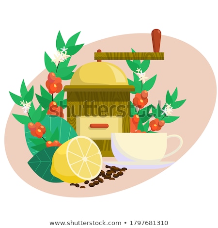 Stock fotó: Coffee Grinder With Coffeecup And Beans