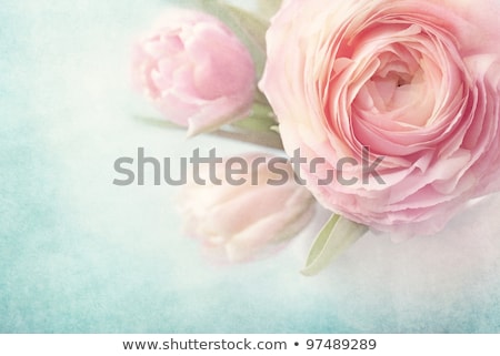 Stock photo: Bouquet Of Spring Tulips In Vase On Shabby Chic Background