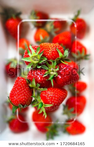 Stok fotoğraf: Fresh Strawberry From Farm
