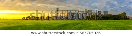 Сток-фото: Silver Silos In Field