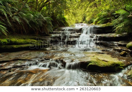 Foto stock: Leura Cascades