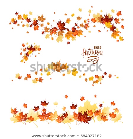 Сток-фото: Yellowing Autumn Leaves In The Woods