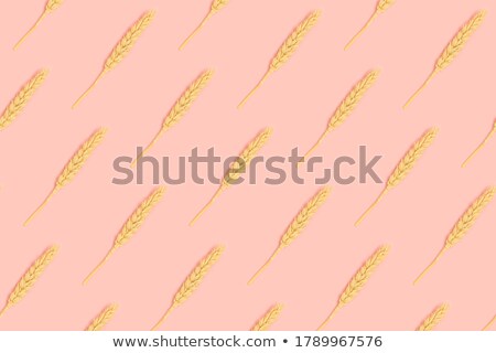 Zdjęcia stock: Cereal Grains Arrangement As Abstract Background