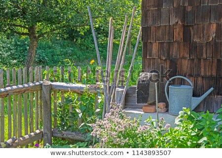 Vintage Watering Can On The Fence Of A Vegetable Garden Zdjęcia stock © manfredxy