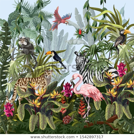 Сток-фото: Illustration Jungle Landscape