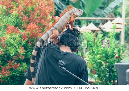 Foto stock: Portrait Of The Young Man With The Iguana