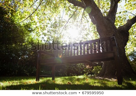 Stock fotó: Empty Bench On Field In Backyard During Sunny Day