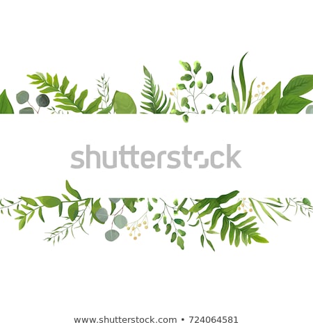 Stok fotoğraf: Herb Border On White