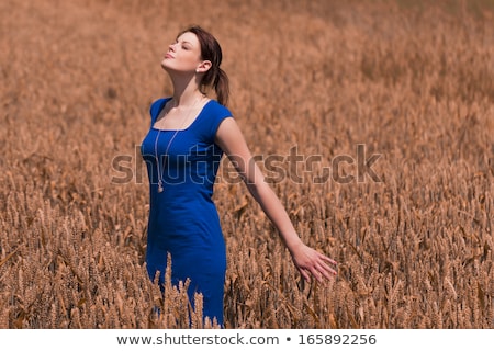 Foto stock: Brunet Woman In Blue Dress