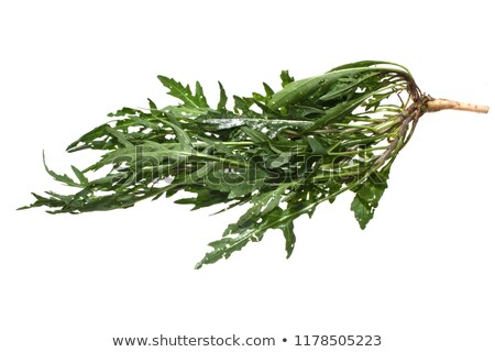 Stock fotó: Heap Of Raw Vegetables On White