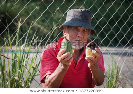 Stock photo: Farmer Examining Mango Tree