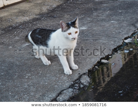 Stock photo: Baby Is Just Playing On The Street