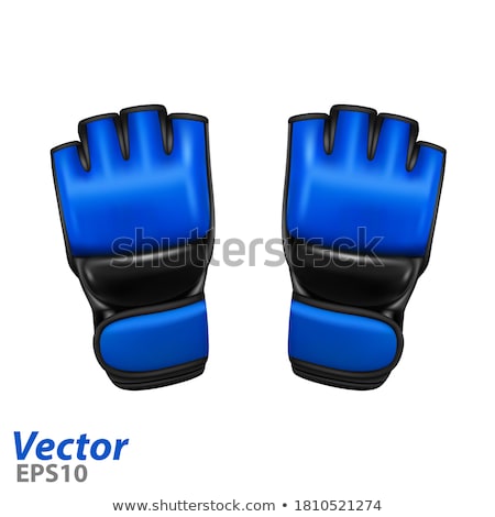Stock photo: Leather Gloves For Fighting Without Rules