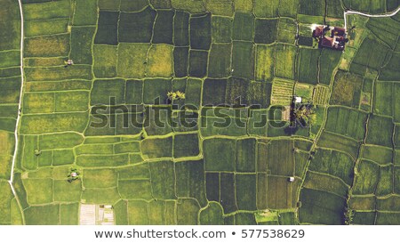 Stock photo: Panoramic Aerial View From Drone Of Beautiful Landscape With Dirt Road Through Autumn Forest In A Re