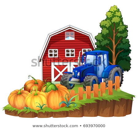 [[stock_photo]]: Farm Scene With Blue Tractor And Pumpkins