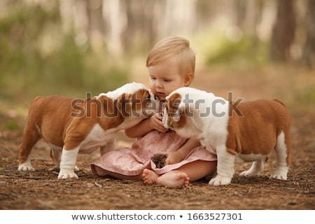 Сток-фото: Little Girl And Puppy