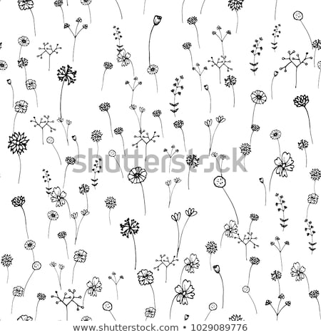 Foto stock: Seamless Doodle Flowers Pattern