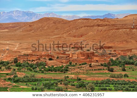 Stockfoto: River Oasis