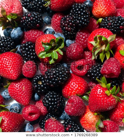 [[stock_photo]]: Selection Of Berries