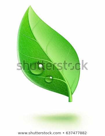 Stock fotó: Shiny Conservation Leaf Symbol