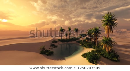 Foto stock: Oasis