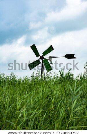 ストックフォト: Small Windmill In The Weerribben Wieden