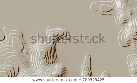 Stock foto: 3d Topographic Map Contour Elevation Concept Background